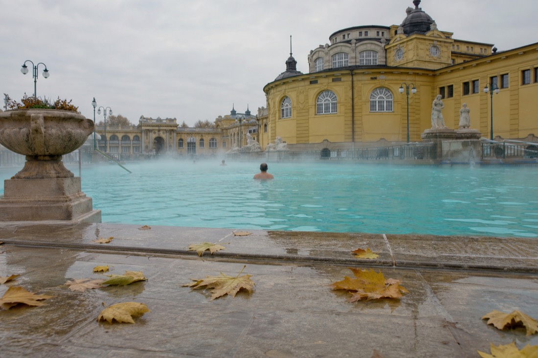 Autumn leaves on the wet stone edge of a steaming Budapest outdoor thermal pool on a quiet October morning